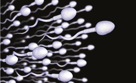¿Humanidad en riesgo? Hombres producen cada vez menos espermatozoides: epidemióloga