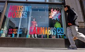 Regulación del cannabis en Norteamérica impacta mercado europeo