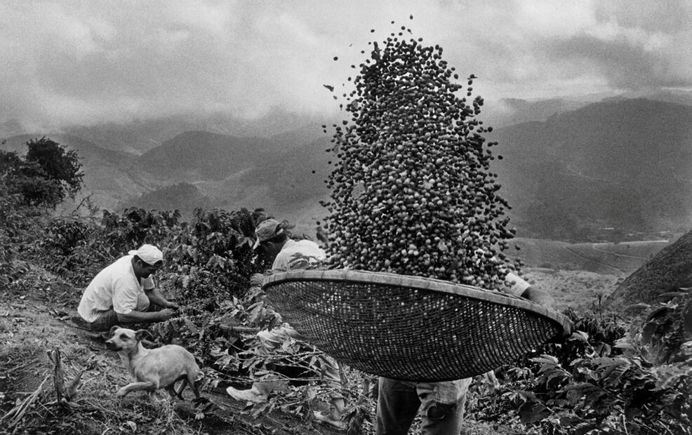 Fotografía tomada en Brasil por el fotógrafo brasileño Sebastião Salgado, que hoy ha presentado en el Postfuhramt (antigua central de correos reconvertida en galería) de Berlín su exposición 'In principio', en la que se exponen imágenes de cinco países cafeteros, 05/09/2008. Foto: EFE / Sebastião Salgado