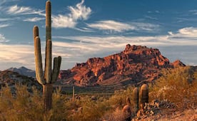 Hallan más de 70 cadáveres de migrantes en desierto de Arizona, en la frontera con México; aumenta crisis migratoria por deportación