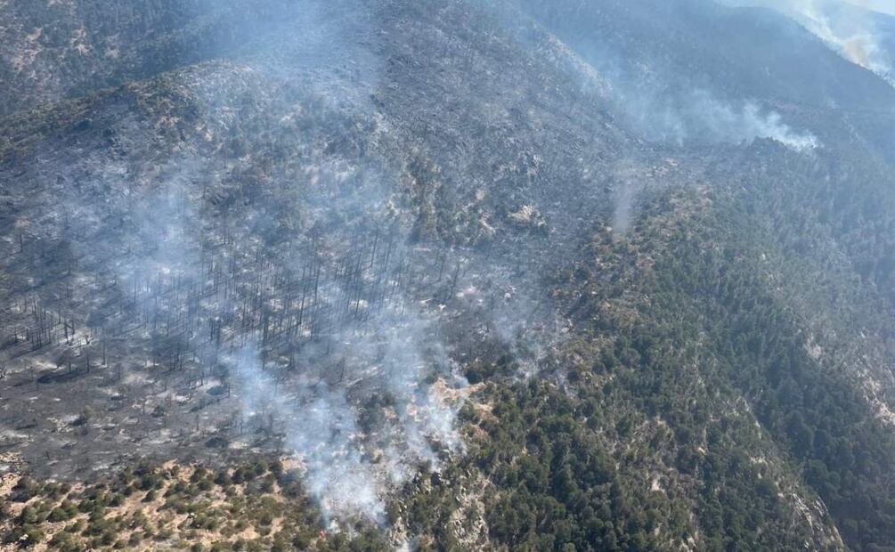 En el municipio de Casas Grandes se han ocupado aeronaves para mitigar las llamas (25/03/2025). Foto: Especial