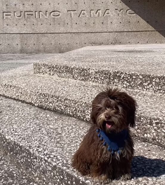 Foto: Captura Vía Instagram.