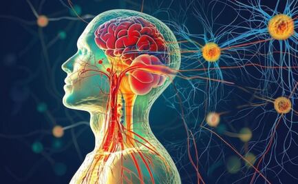 ¿Qué es el cortisol y por qué genera arrugas en nuestro cuerpo?