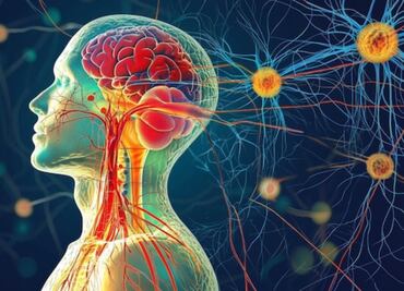 ¿Es realmente malo el cortisol?