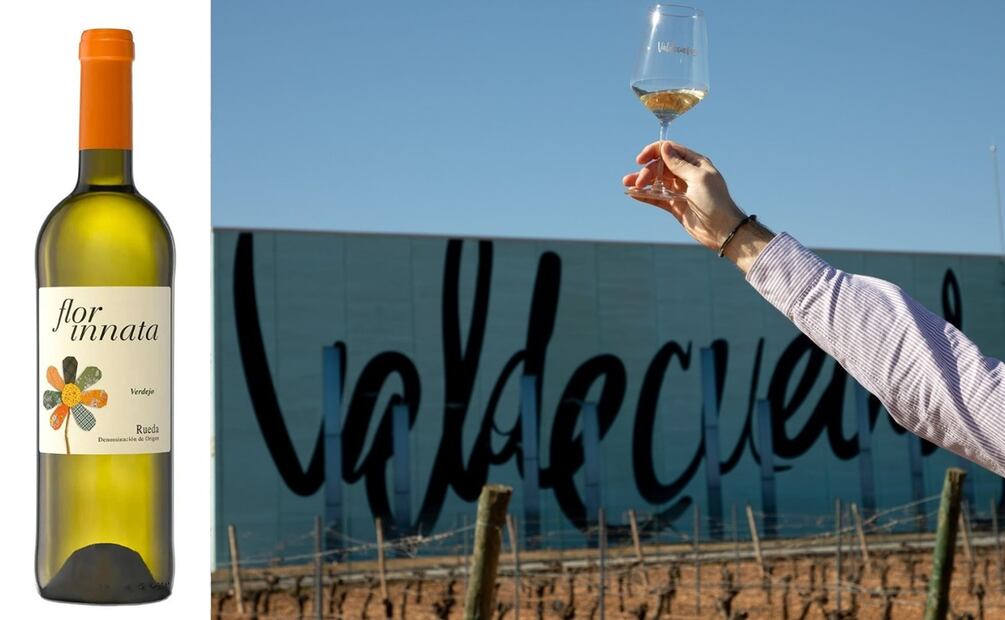 7 verdejos de Rueda que debes conocer. Foto: Bodega Valdecuevas