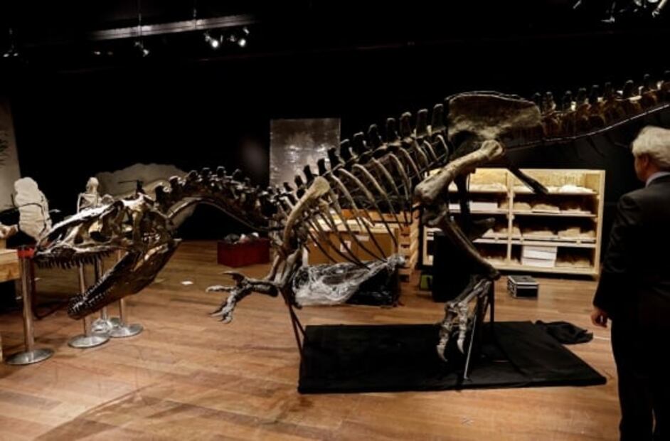 Subastan esqueleto del "abuelo" del T-Rex por millones de dólares