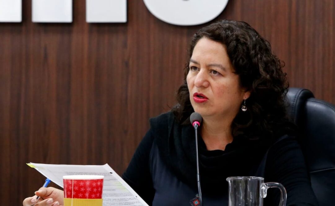 La comisionada María del Carmen Nava Polina. Fotografía/ EL UNIVERSAL