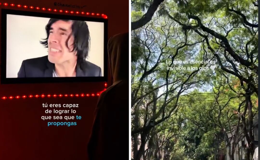 En un mundo saturado de malas noticias, el HopeCore se alza como una tendencia refrescante en TikTok que fomenta la positividad y el bienestar mental. Foto: Captura de pantalla