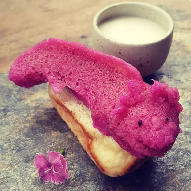La Wow Xolota, el tamal de ajolote más adorable 