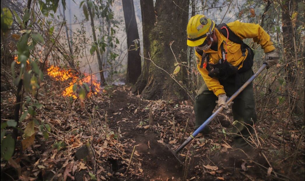 Los cinco incendios considerados en el “Complejo Tepoztlán” han sido controlados al 100% y liquidados en un porcentaje de entre 90 y 95, el jueves 17 de abril de 2025. Foto: cortesía Desarrollo Sustentable Morelos