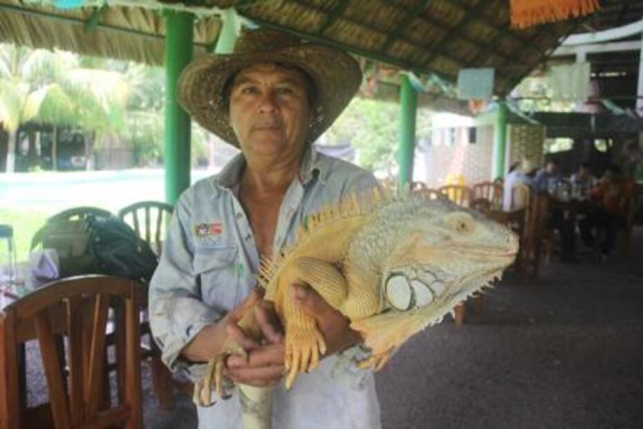 Abilio, de cazador a protector Iguanero