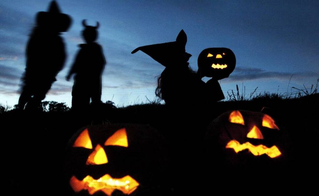 Expo Garnacha, el lugar más escalofriante y rico. Foto: Archivo El Universal