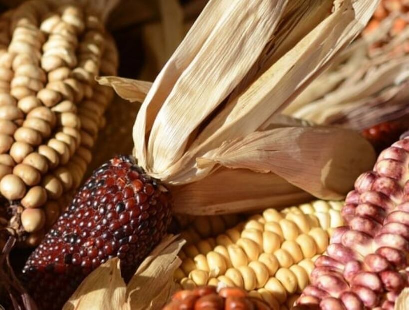 ¿Qué vas a regalar en Navidad? Esta lista te sacará del apuro con originalidad