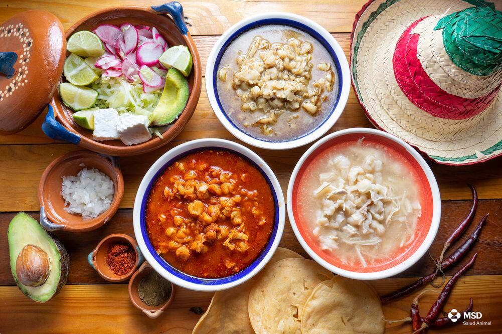 Foto: MSD Salud Animal