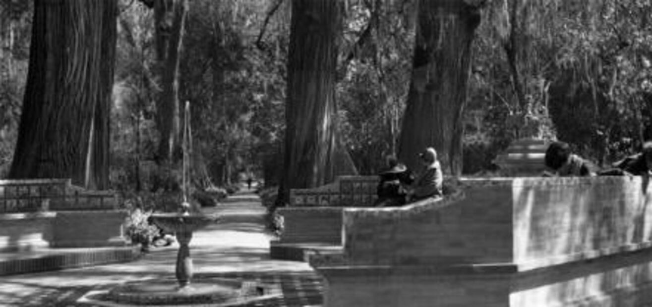 Un antiguo espacio para leer en Chapultepec