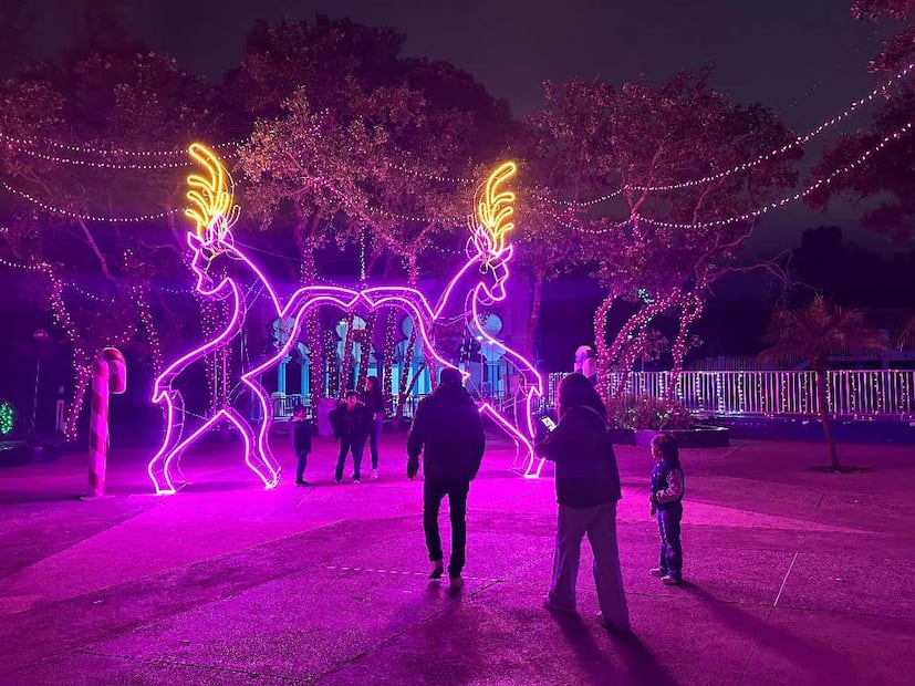 Foto: Omar Moreno. El Universal