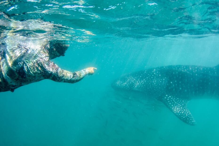Foto: Baja Adventure Co