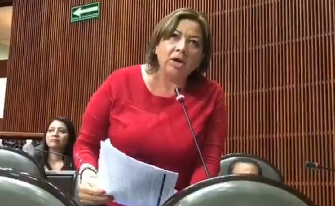 Diputada Guadalupe Almaguer del PRD (Captura de pantalla)