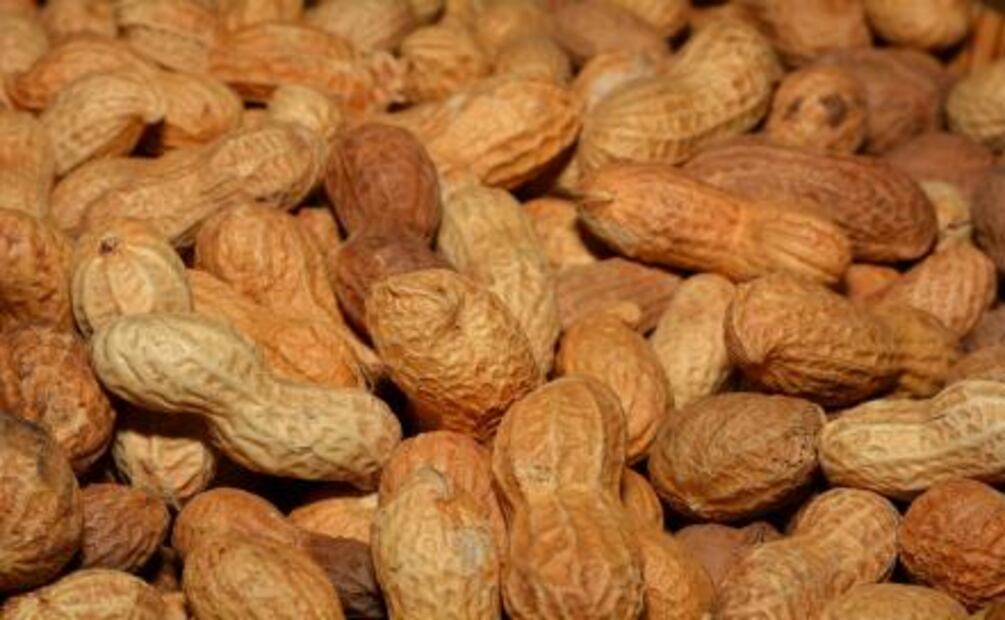 Alimentos para sustituir la carne roja