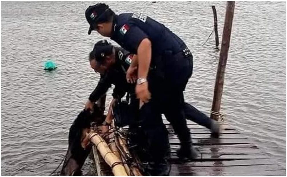 Los elementos de seguridad se acercaron y vieron que el perrito estaba amarrado por lo que lo pusieron a salvo (08/10/2024). Foto: Especial