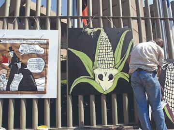Habrá aranceles si México no revierte decreto de maíz