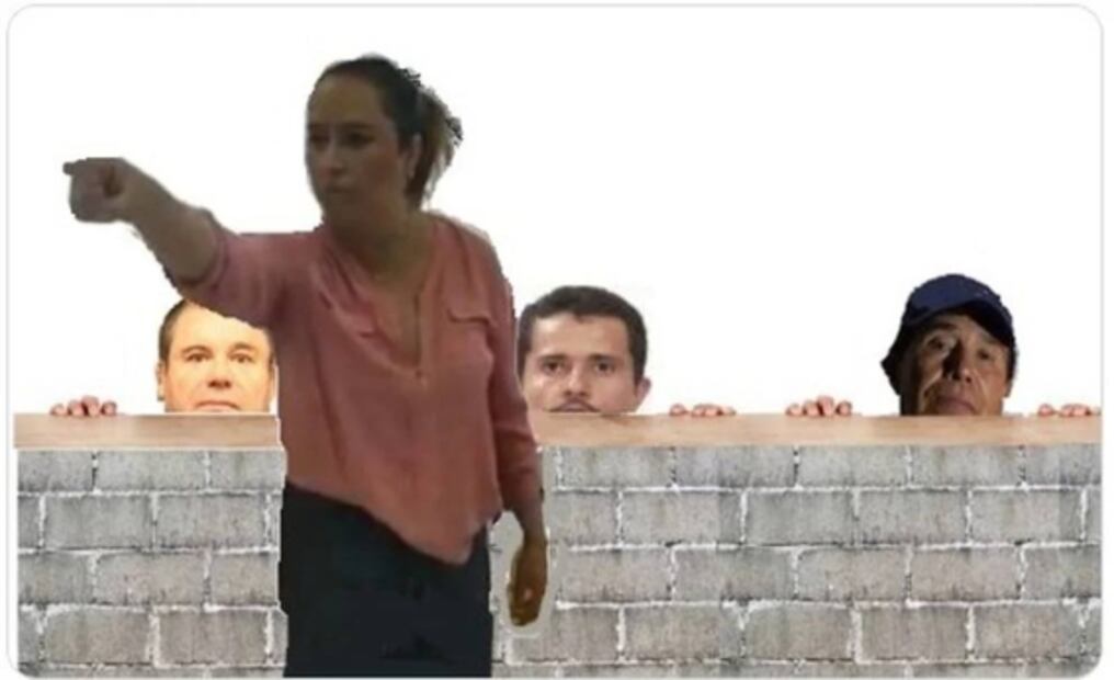 Los mejores memes que dejó #LadyDEA