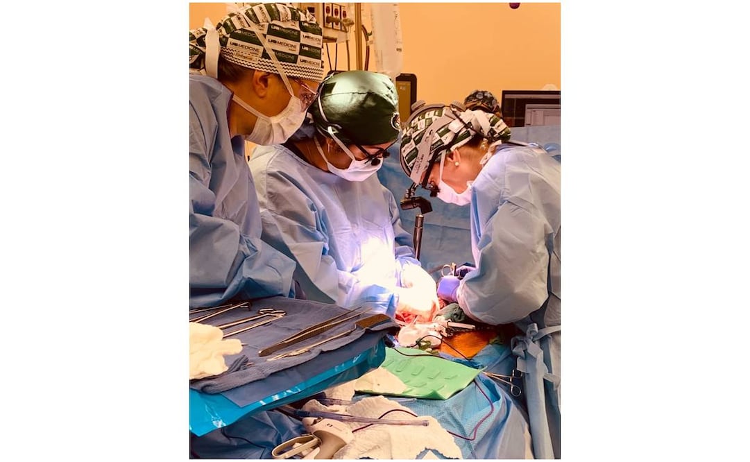 Los encargados de este xenotrasplante en fase de ensayo clínico son investigadores de la Facultad de Medicina Heersink, de la Universidad de Alabama en Birmingham. Foto: EFE