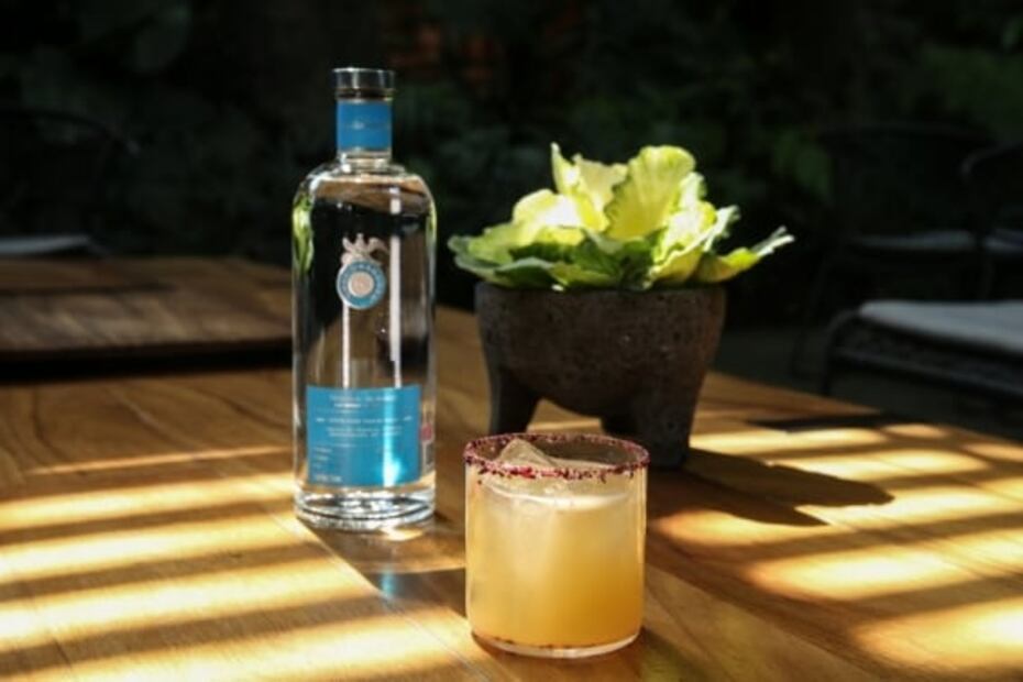 Celebra el día del tequila con estos drinks