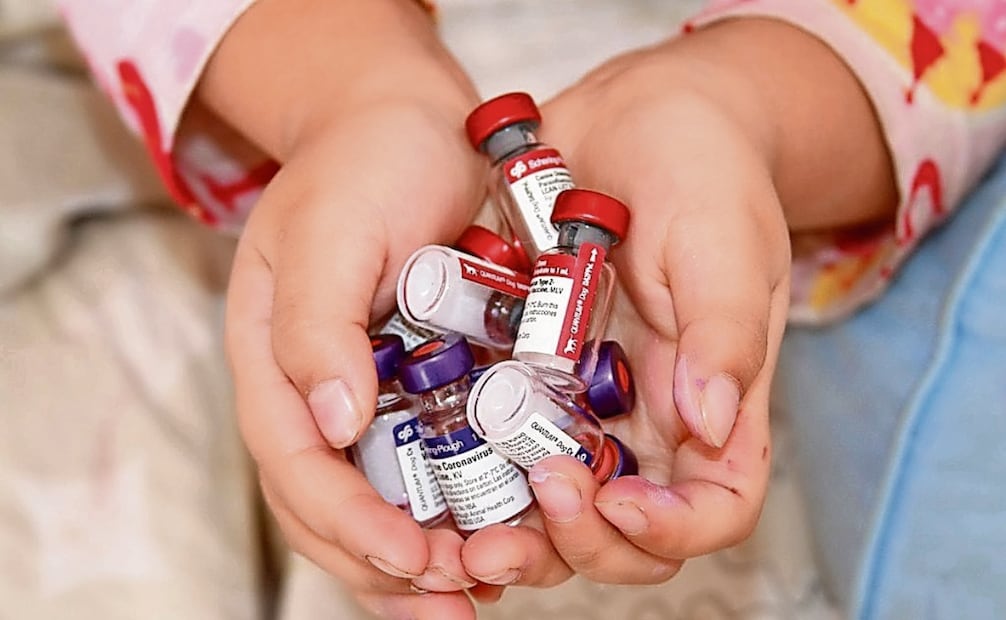 Médicos Sin Fronteras predijo el jueves que “innumerables niños morirán de enfermedades prevenibles por vacunación” como resultado de que Estados Unidos retire su apoyo a Gavi. Foto: Especial. Carlos Reusser