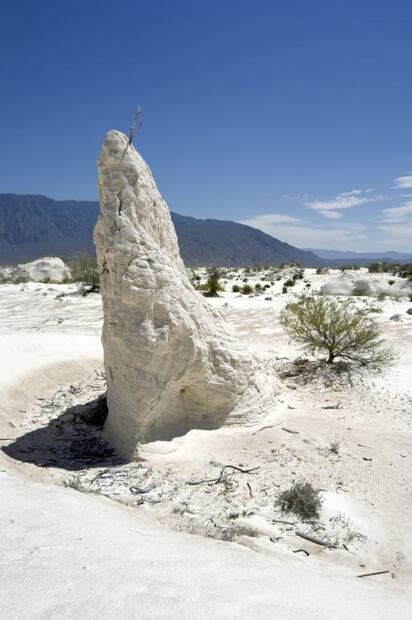 Así son las Dunas de Yeso de Cuatro Ciénegas