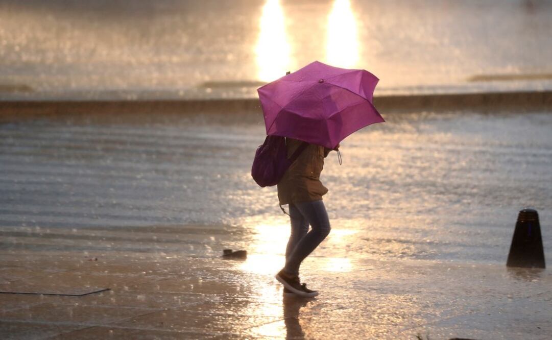 Foto: Archivo | EL UNIVERSAL