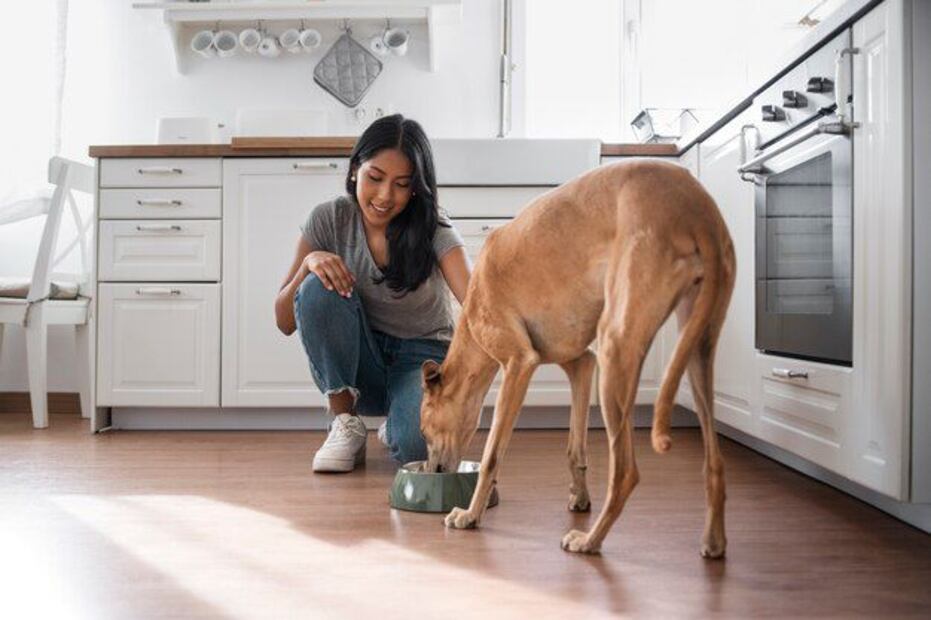 Alimentación natural para perros. Fuente: Freepik.