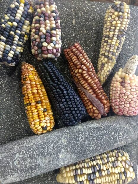 La cocina tradicional como resiliencia a la cultura e historia de nuestro país