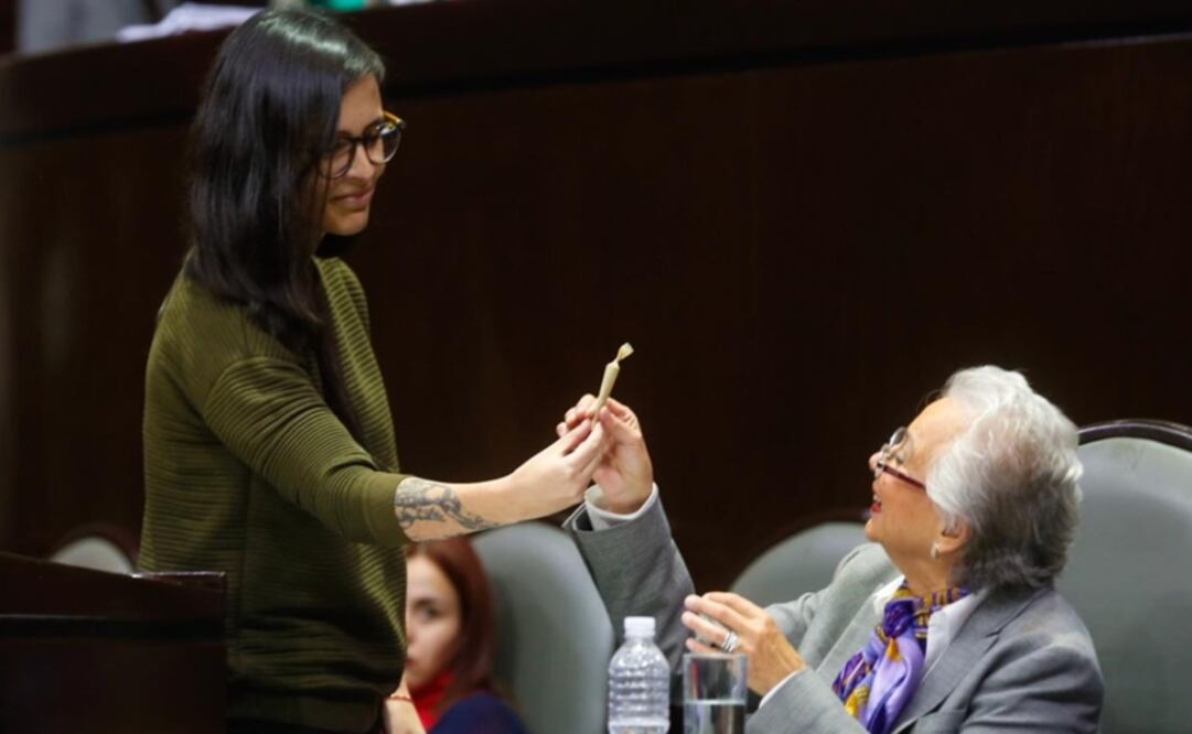 Foto: cortesía Canal del Congreso
