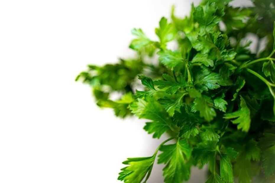 Disfruta los beneficios de esta refrescante agua de perejil con limón