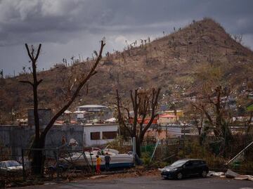 Ciclón Chido: Francia impondrá toque de queda nocturno en Mayotte; autoridades temen que haya más víctimas