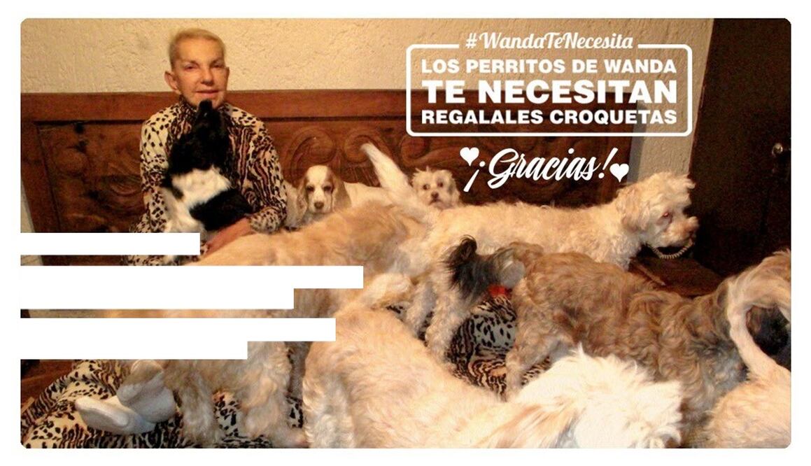 Wanda Seux fue apoyada por algunas organizaciones para que la gente le regalara comida a sus perros. Foto: Captura Twitter