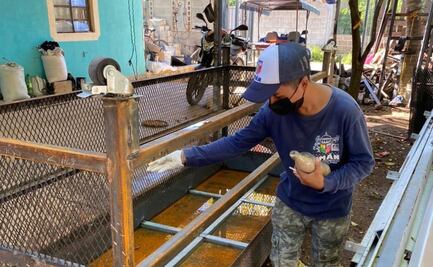 Yucatán en alerta: registra máximo histórico de casos de dengue