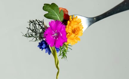 3 recetas con flores fáciles y rápidas