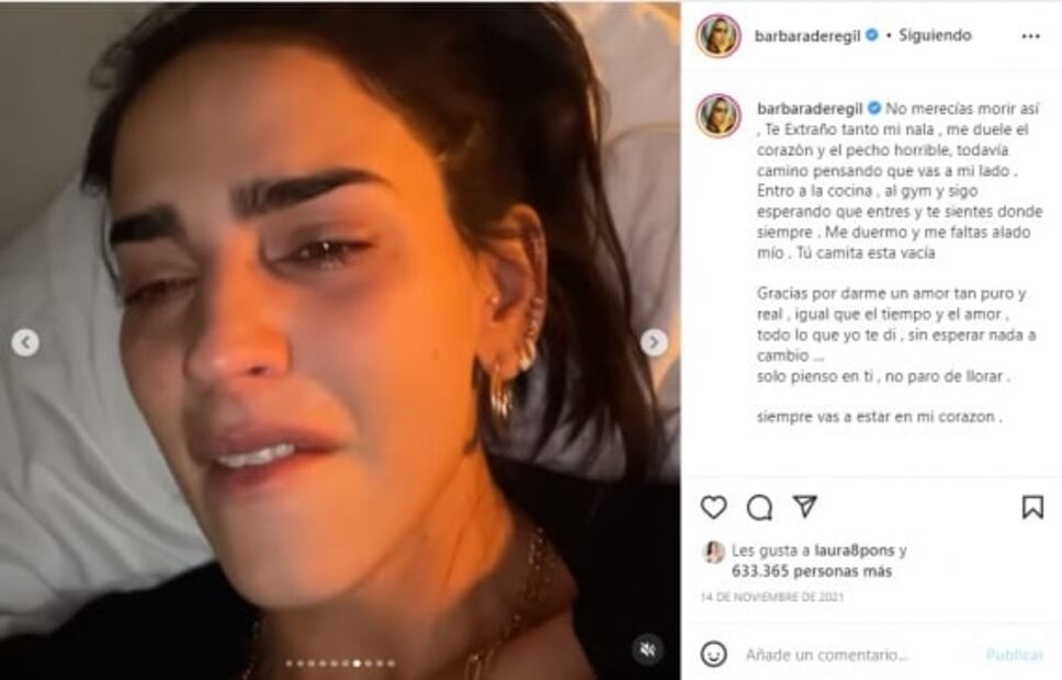 La muerte de una perrita desata la guerra entre Bárbara de Regil y Gala Montes