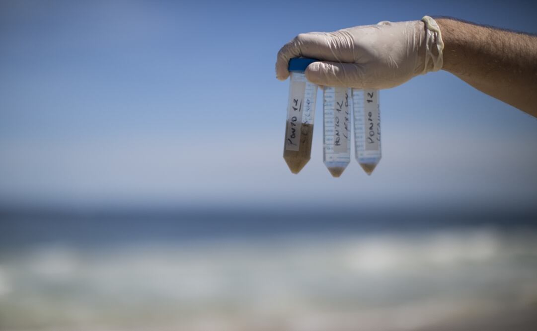 The group of experts from the Environmental Sciences Division was asked by a company to address the issue of water pollution by hydrocarbons - Photo: Felipe Dana/AP