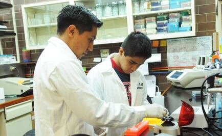 Alerta por fármaco-resistencia en bacterias