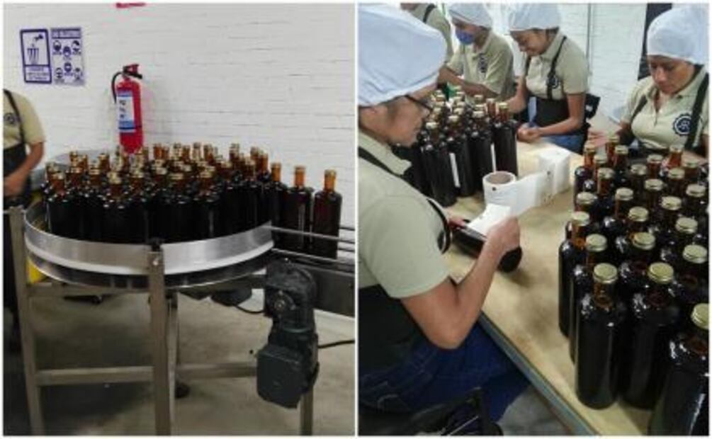 Conoce cómo se elabora el licor de chile ancho + recetas de cocteles
