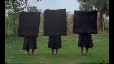 Gabriela Domínguez y el territorio femicomunal, por Jorge Ayala Blanco