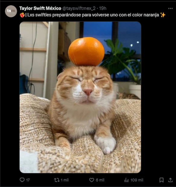 Decenas de swifties desataron una lluvia de memes. Fotos: Redes Sociales
