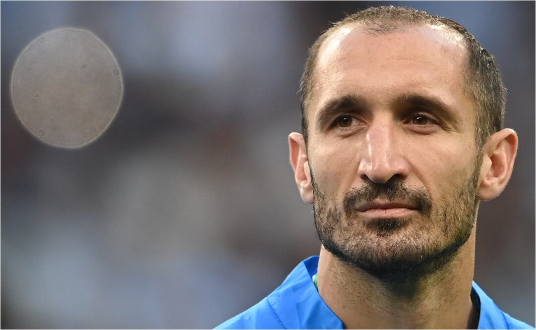 Giorgio Chiellini será compañero de Carlos Vela - FOTO: EFE