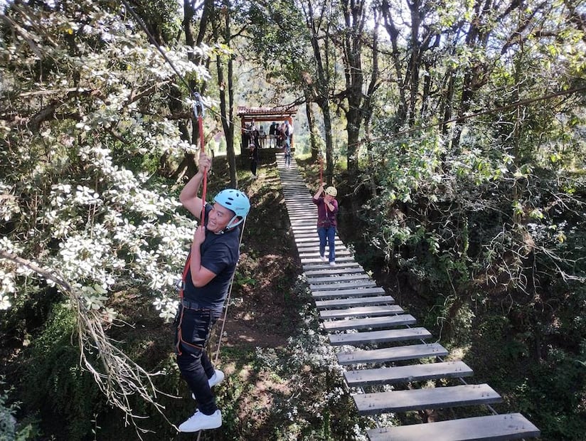 Foto: Bosque Esmeralda
