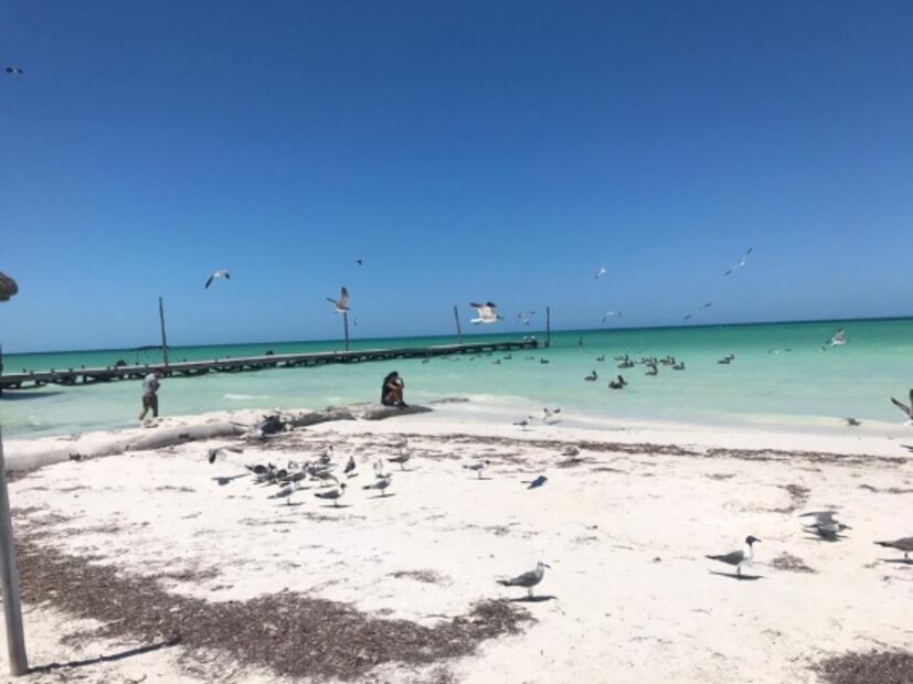 Desalojan a turistas de Holbox