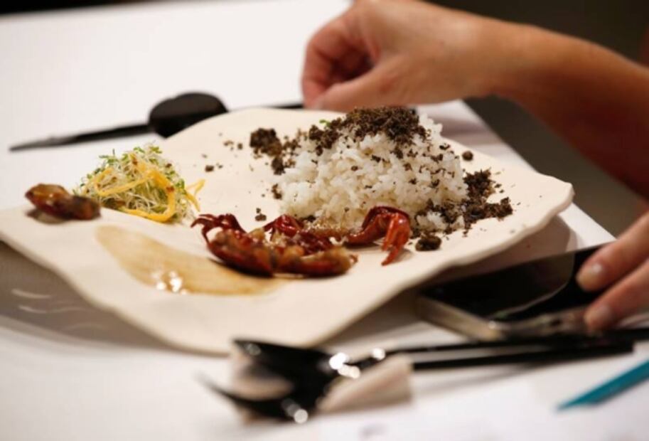 Insectos, la alternativa para dejar de comer proteína animal