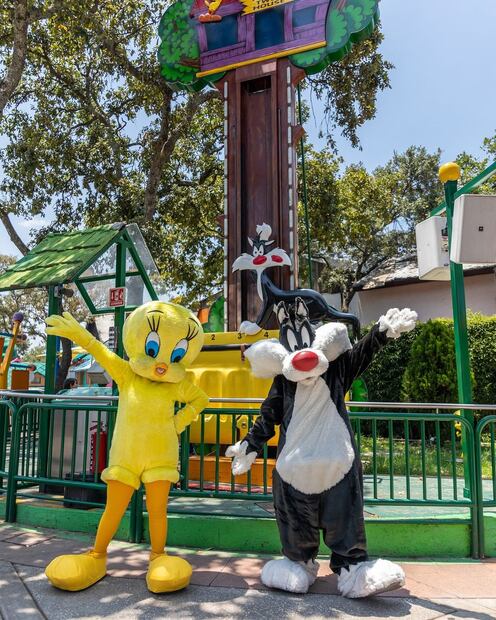 Six Flags México / @sixflagsmexico